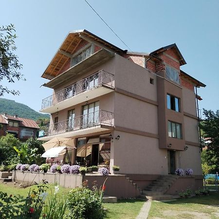 Guest House Dimitrije Niska Banja Luaran gambar