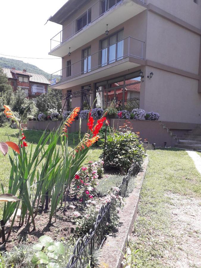 Guest House Dimitrije Niska Banja Luaran gambar