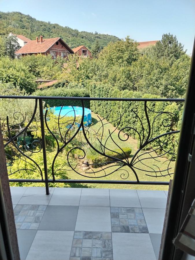 Guest House Dimitrije Niska Banja Luaran gambar