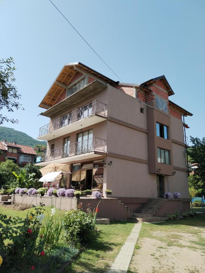 Guest House Dimitrije Niska Banja Luaran gambar